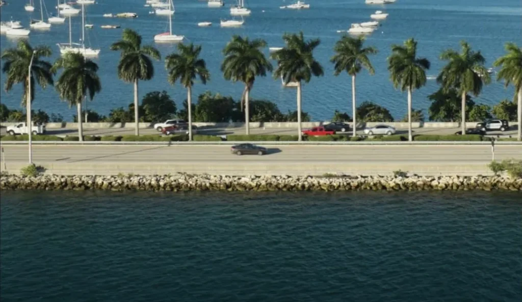 Palms along a causeway on Biscayne Bay
