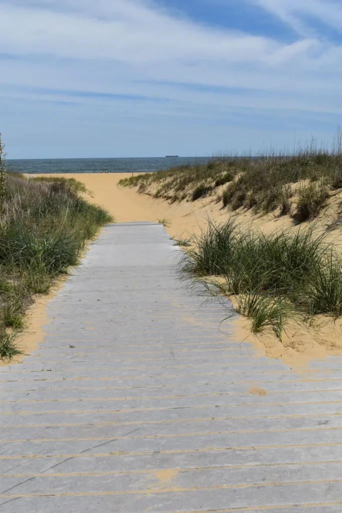A sandy path through the dunes to the beach